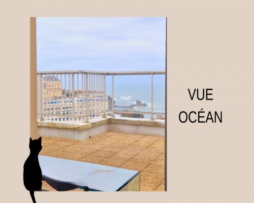 vente-appartement-64200-biarritz_photo_12