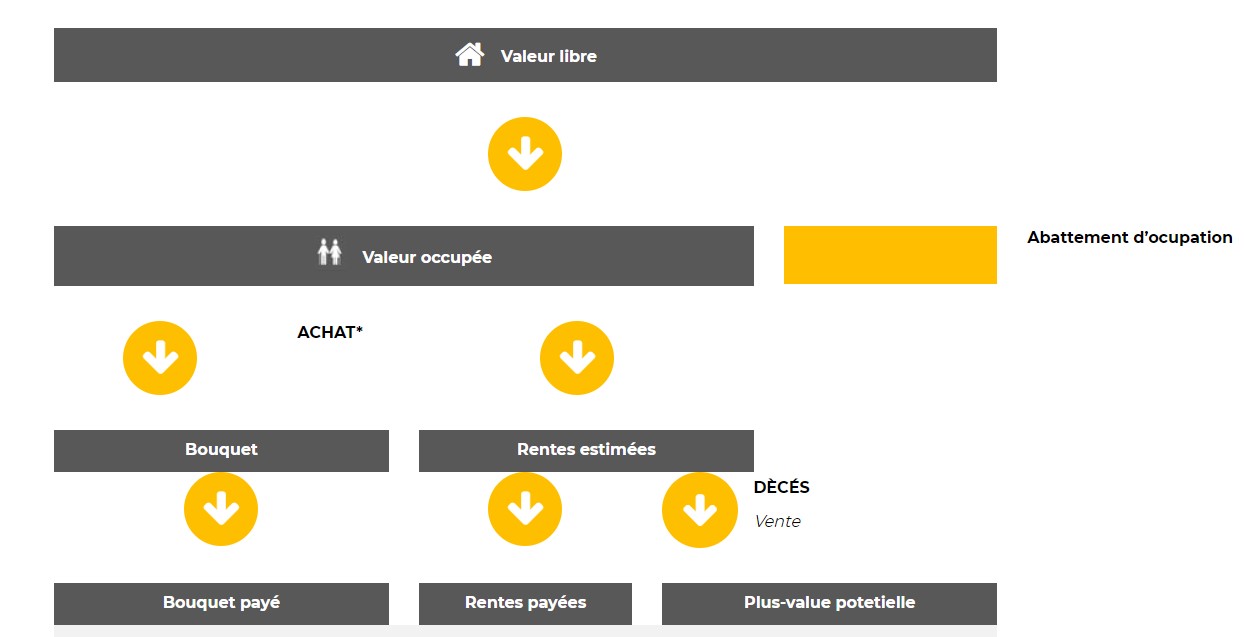 L'agence UDPI, page Viager source de plus-value schéma complet ! 